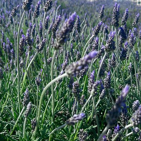 Coup De Coeur Linge De Maison Fournie Empuriabrava Εξωτερικό φωτογραφία